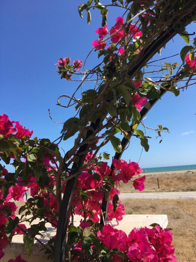 Beach Flat With Garden Castelldefels Ngoại thất bức ảnh